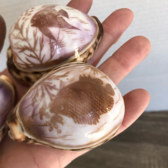 Vtg Hand Carved Cowrie Seashells with Intricate Designs - Picture 10 of 12